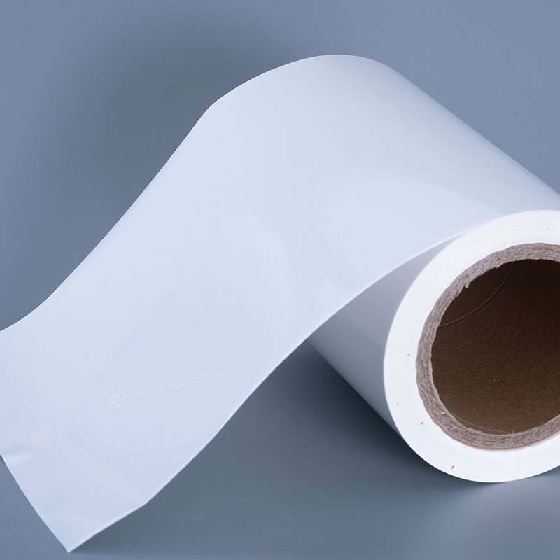 잉크젯 인쇄용 아크릴 접착제 점보 롤이 포함된 25mic 광택 PET 비닐 필름 라벨 재료